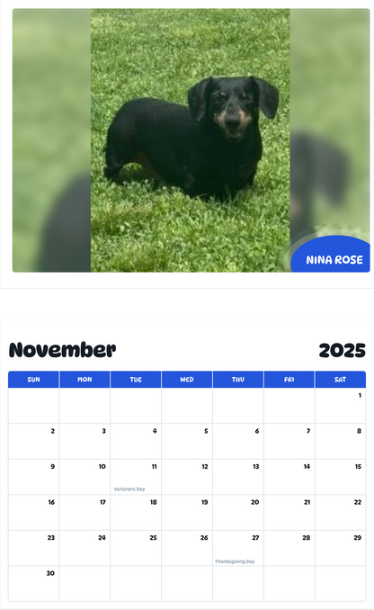 July 2025 - June 2026 Nina Rose - Pawidols Pet Calendar