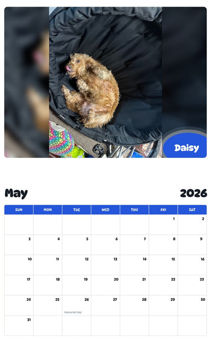 2026 - 2027 Daisy - Pawidols Pet Calendar