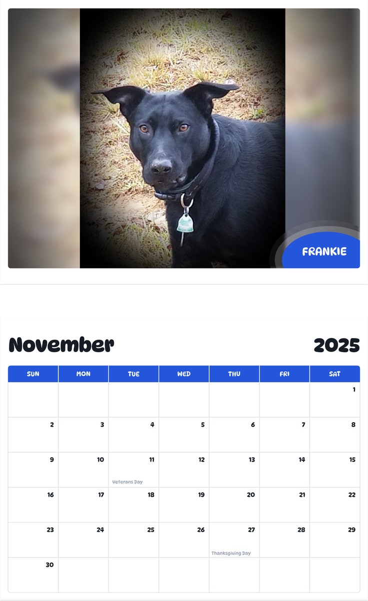 July 2025 June 2026 Frankie Pawidols Pet Calendar July 2025 june 2026 frankie pawidols pet calendar