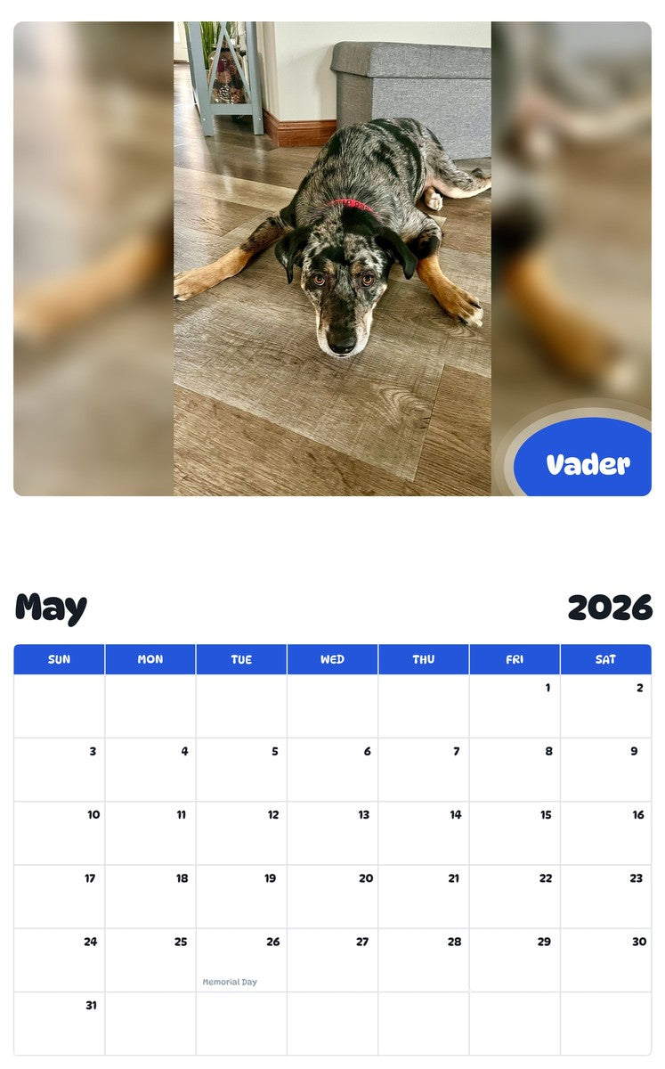 2026 - 2027 Vader - Pawidols Pet Calendar
