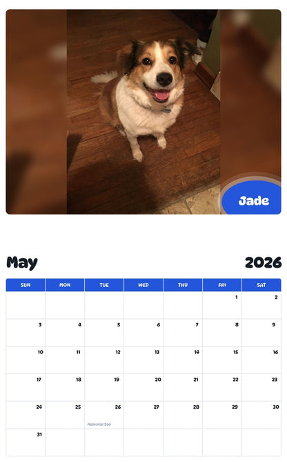 2026 - 2027 Jade - Pawidols Pet Calendar