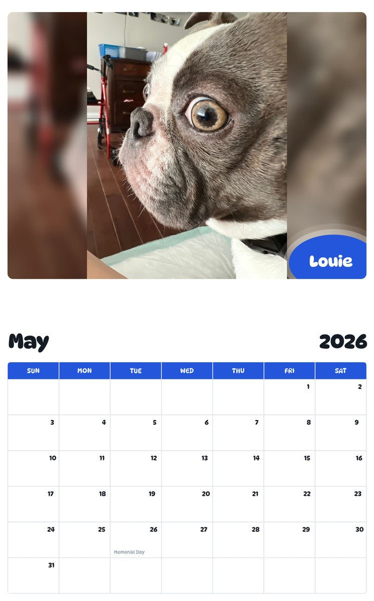 2026 - 2027 Louie - Pawidols Pet Calendar