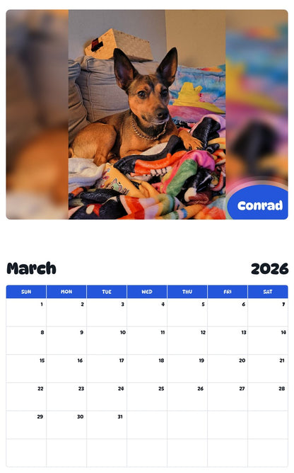 November 2025 - October 2026 Conrad - Pawidols Pet Calendar