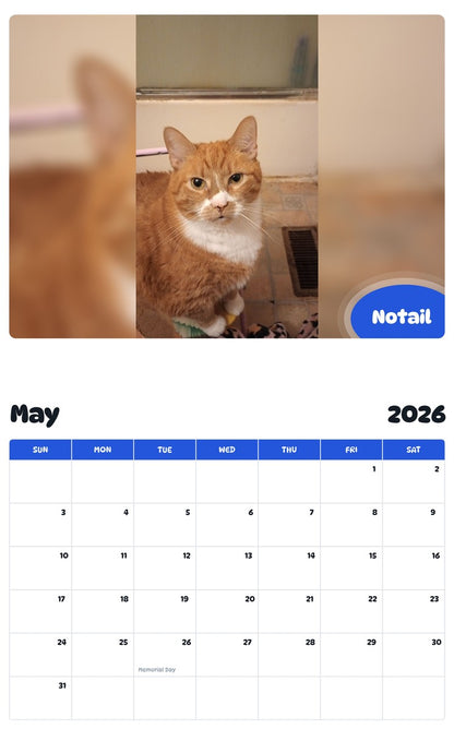 2026 - 2027 Notail - Pawidols Pet Calendar