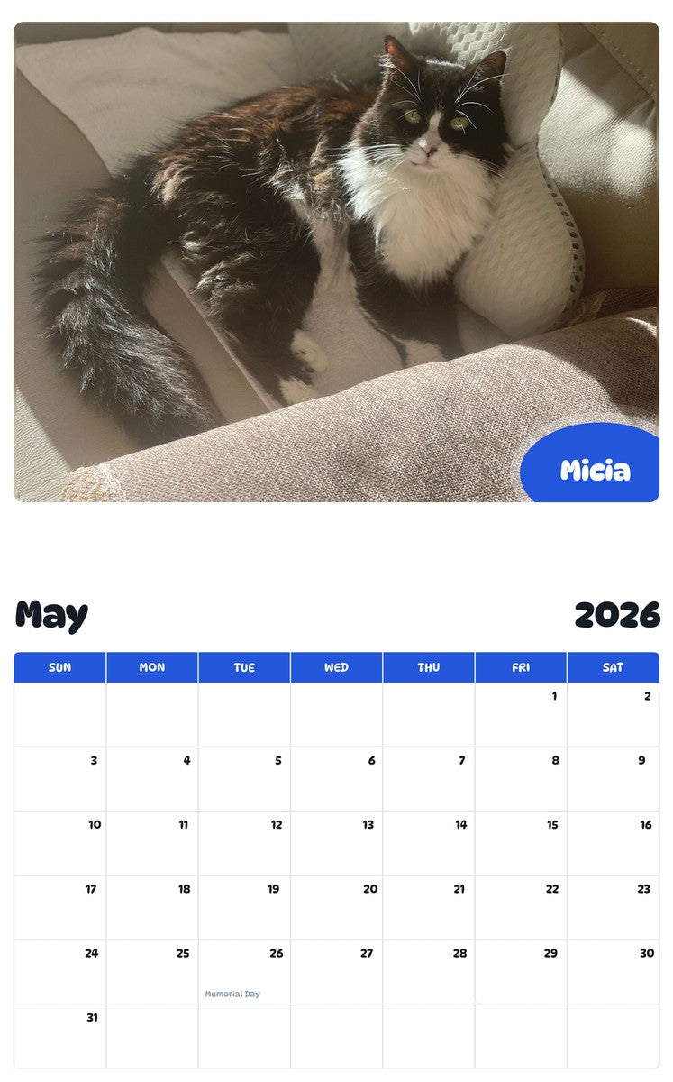 2026 - 2027 Micia - Pawidols Pet Calendar