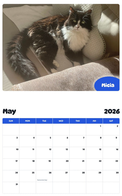 2026 - 2027 Micia - Pawidols Pet Calendar