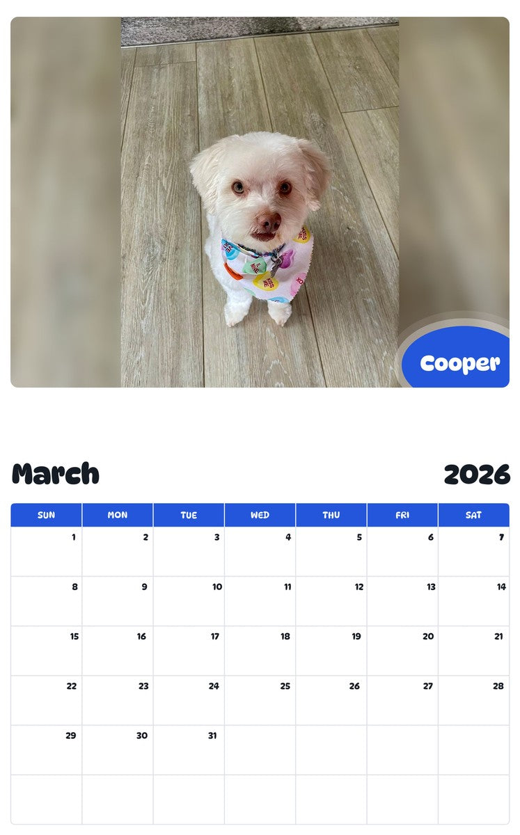 November 2025 - October 2026 Cooper - Pawidols Pet Calendar