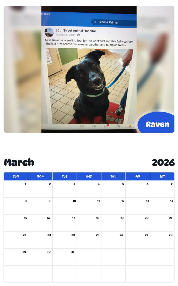 November 2025 - October 2026 Raven - Pawidols Pet Calendar