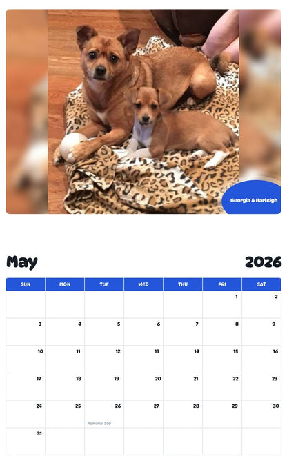2026 - 2027 Georgia & Harleigh - Pawidols Pet Calendar