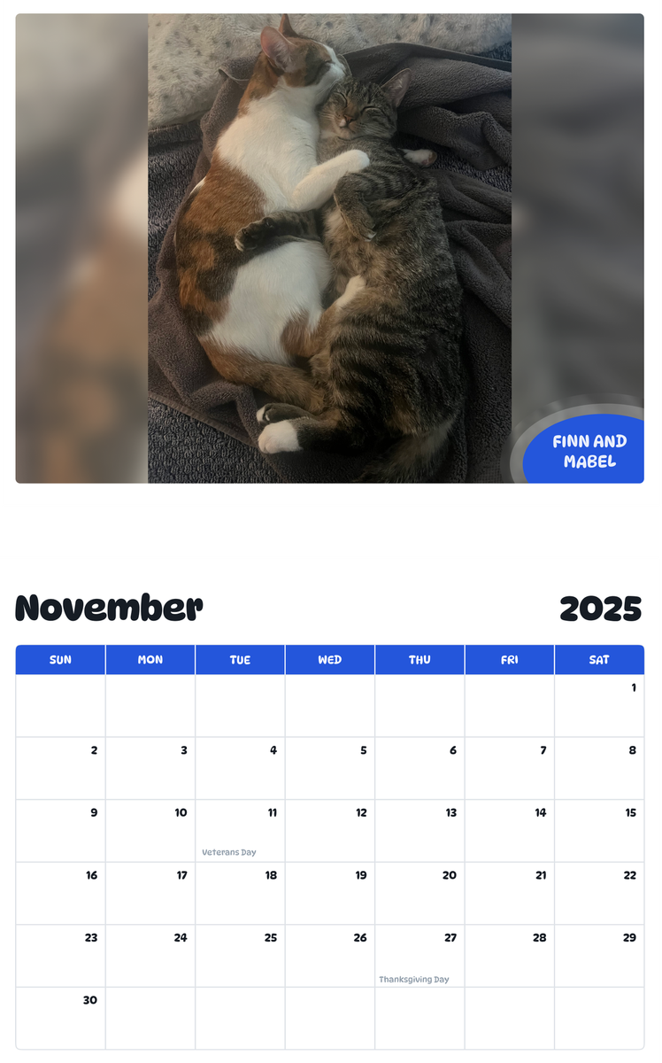 July 2025 - June 2026 Finn and Mabel - Pawidols Pet Calendar