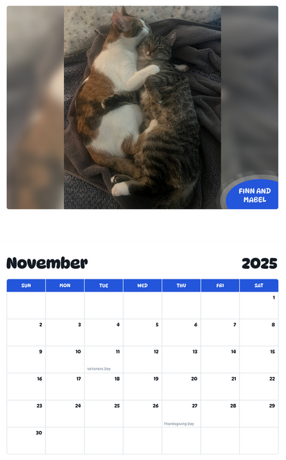 July 2025 - June 2026 Finn and Mabel - Pawidols Pet Calendar