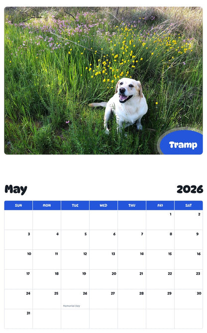 2026 - 2027 Tramp - Pawidols Pet Calendar