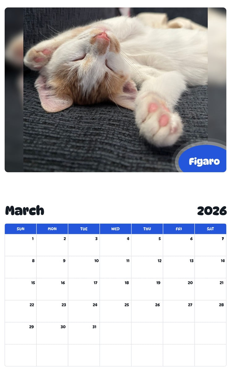 November 2025 - October 2026 Figaro - Pawidols Pet Calendar