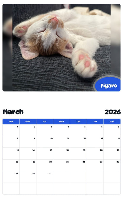 November 2025 - October 2026 Figaro - Pawidols Pet Calendar