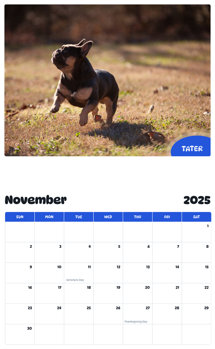 July 2025 - June 2026 Tater - Pawidols Pet Calendar