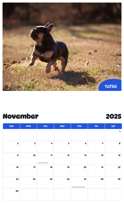 July 2025 - June 2026 Tater - Pawidols Pet Calendar