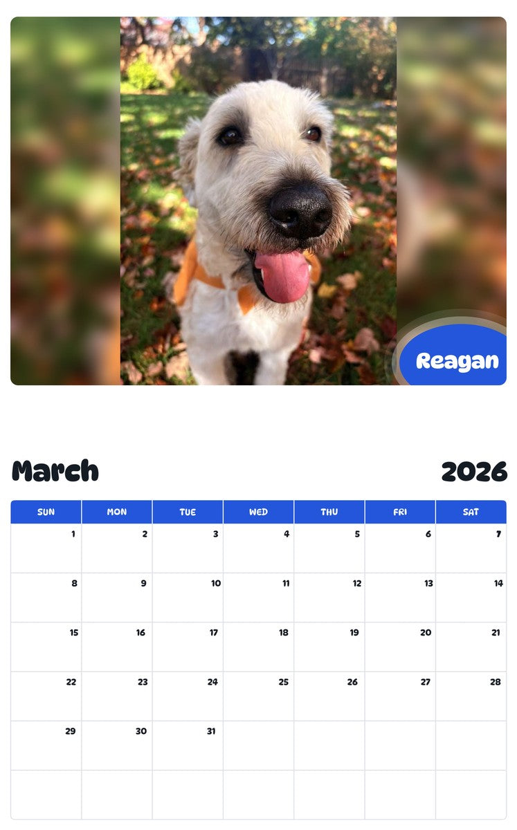 November 2025 - October 2026 Reagan - Pawidols Pet Calendar