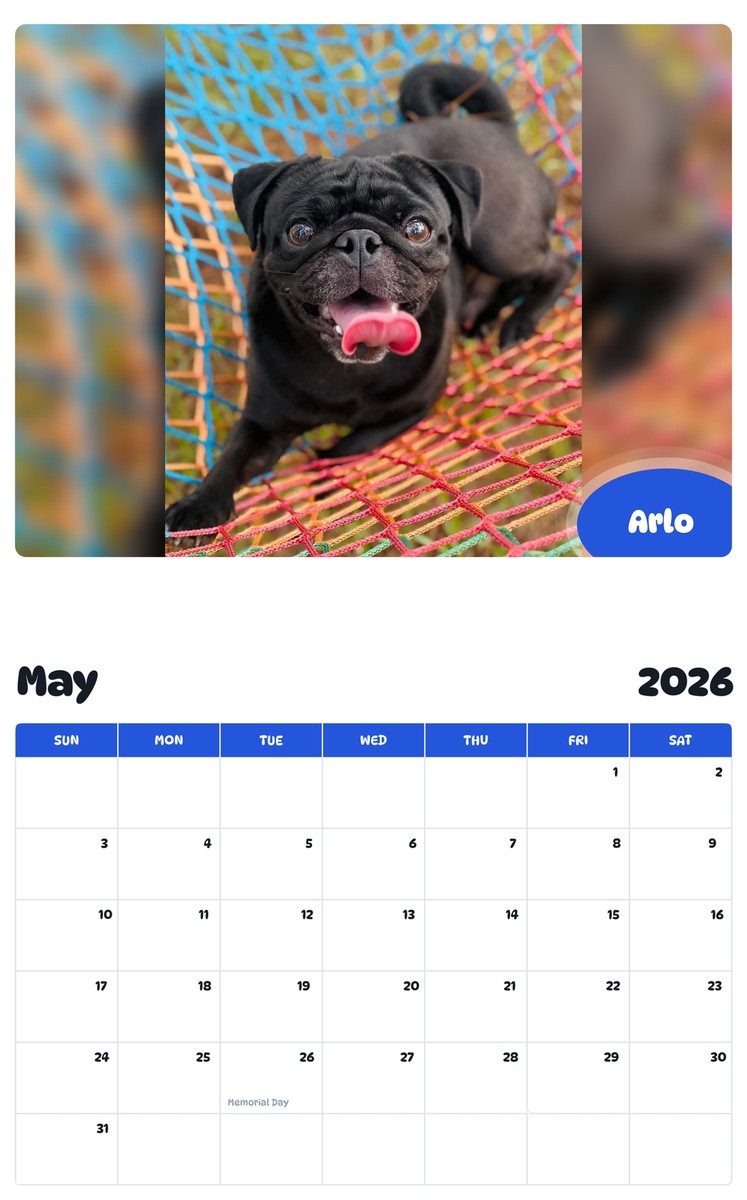 2026 - 2027 Arlo - Pawidols Pet Calendar