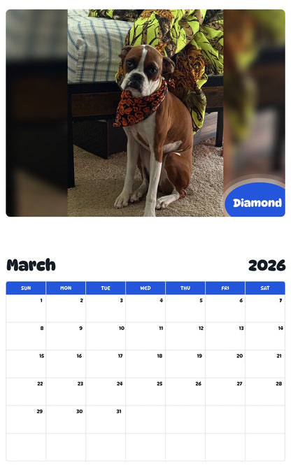 November 2025 - October 2026 Diamond - Pawidols Pet Calendar