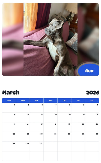 November 2025 - October 2026 Rex - Pawidols Pet Calendar