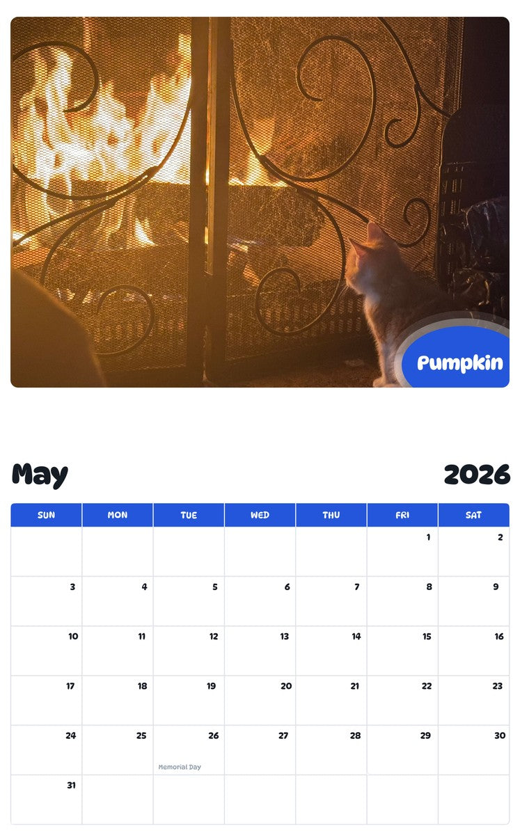 2026 - 2027 Pumpkin - Pawidols Pet Calendar