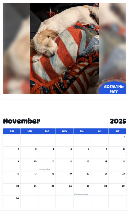 July 2025 - June 2026 Rosalynn may - Pawidols Pet Calendar