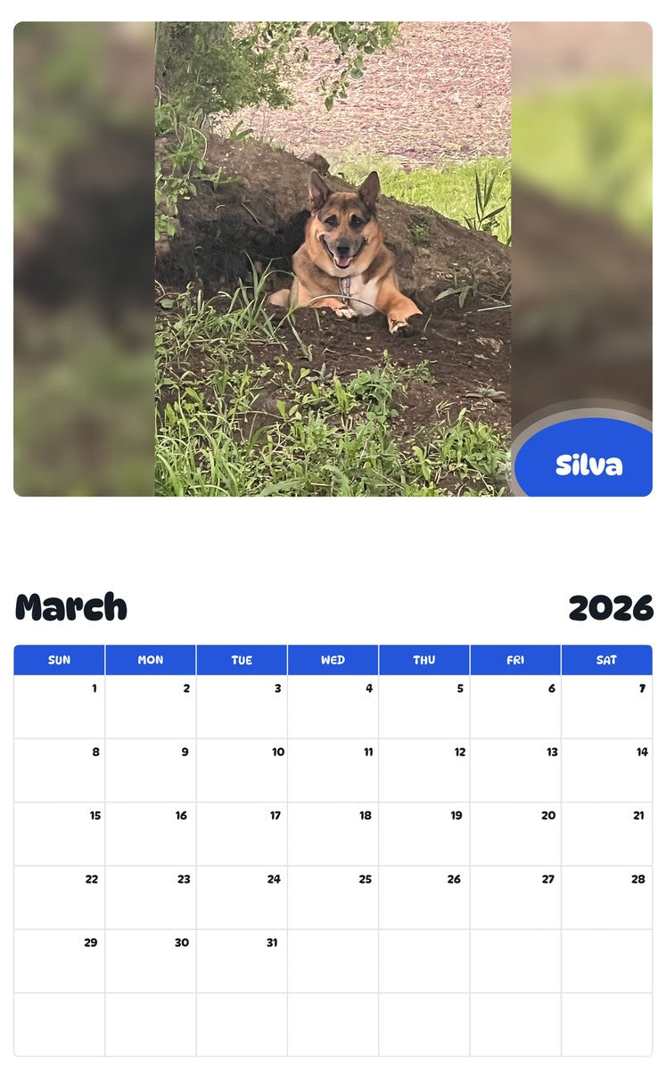 November 2025 - October 2026 Silva - Pawidols Pet Calendar
