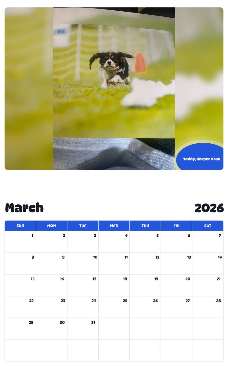 November 2025 - October 2026 Teddy, Harper & Ian - Pawidols Pet Calendar