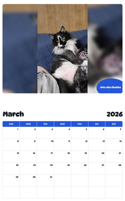 November 2025 - October 2026 Arlo aka Chubbs - Pawidols Pet Calendar