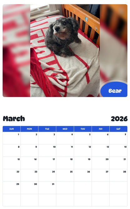 November 2025 - October 2026 Bear - Pawidols Pet Calendar