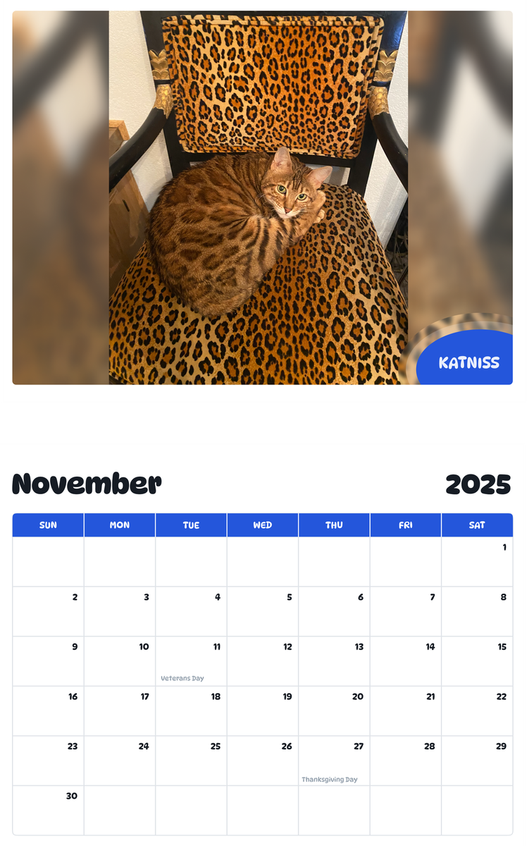 July 2025 - June 2026 Katniss - Pawidols Pet Calendar