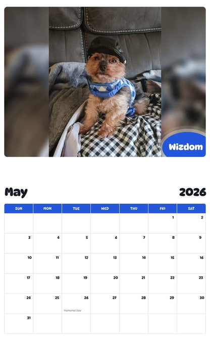2026 - 2027 Wizdom - Pawidols Pet Calendar