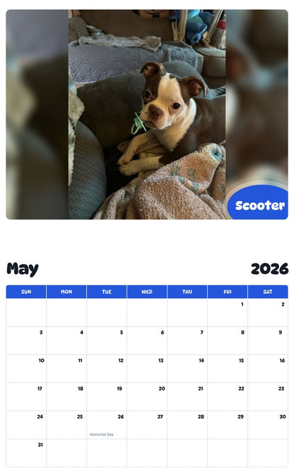 2026 - 2027 Scooter - Pawidols Pet Calendar