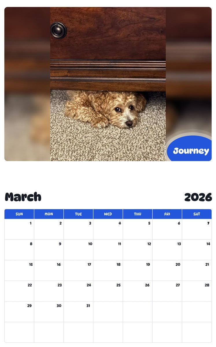 November 2025 - October 2026 Journey - Pawidols Pet Calendar