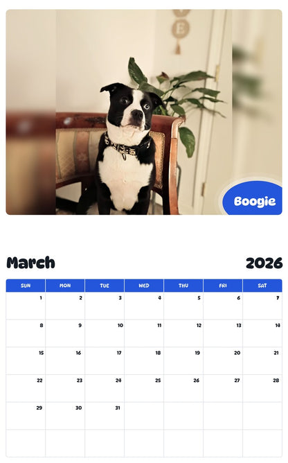 November 2025 - October 2026 Boogie - Pawidols Pet Calendar