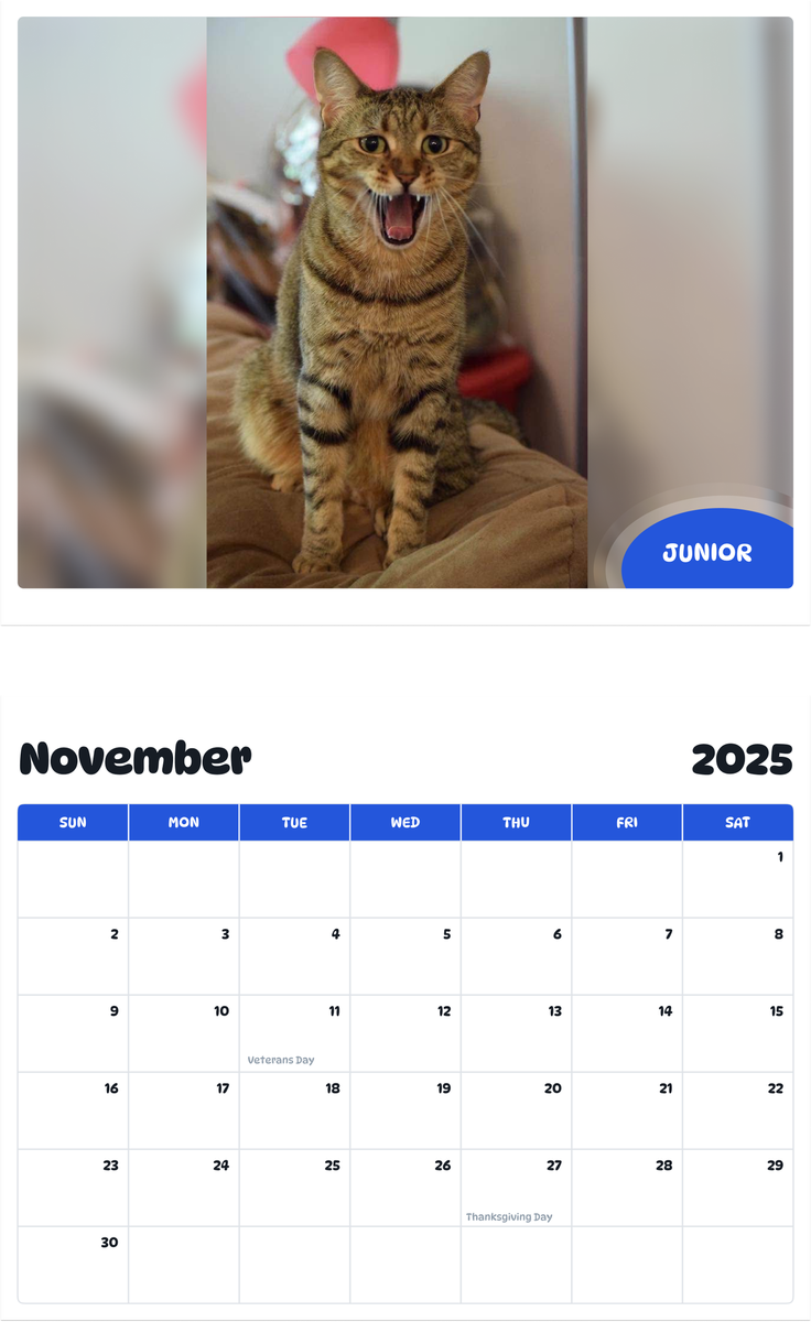 July 2025 - June 2026 Junior - Pawidols Pet Calendar