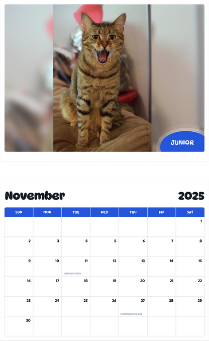 July 2025 - June 2026 Junior - Pawidols Pet Calendar