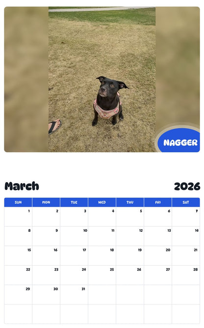 November 2025 - October 2026 NAGGER - Pawidols Pet Calendar