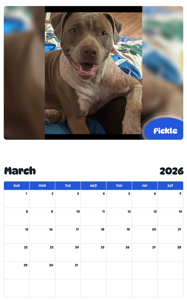 November 2025 - October 2026 Pickle - Pawidols Pet Calendar
