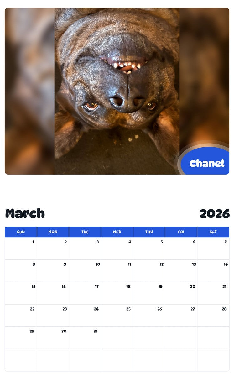 November 2025 - October 2026 Chanel - Pawidols Pet Calendar