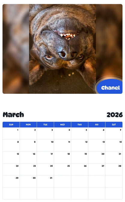 November 2025 - October 2026 Chanel - Pawidols Pet Calendar