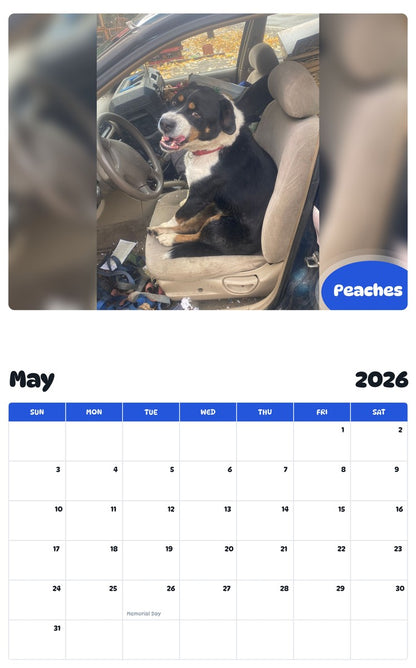 2026 - 2027 Peaches - Pawidols Pet Calendar