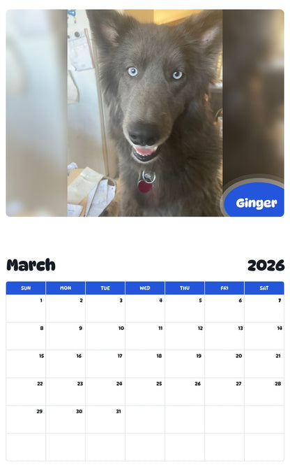 November 2025 - October 2026 Ginger - Pawidols Pet Calendar
