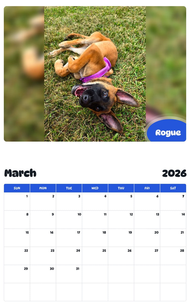 November 2025 - October 2026 Rogue - Pawidols Pet Calendar