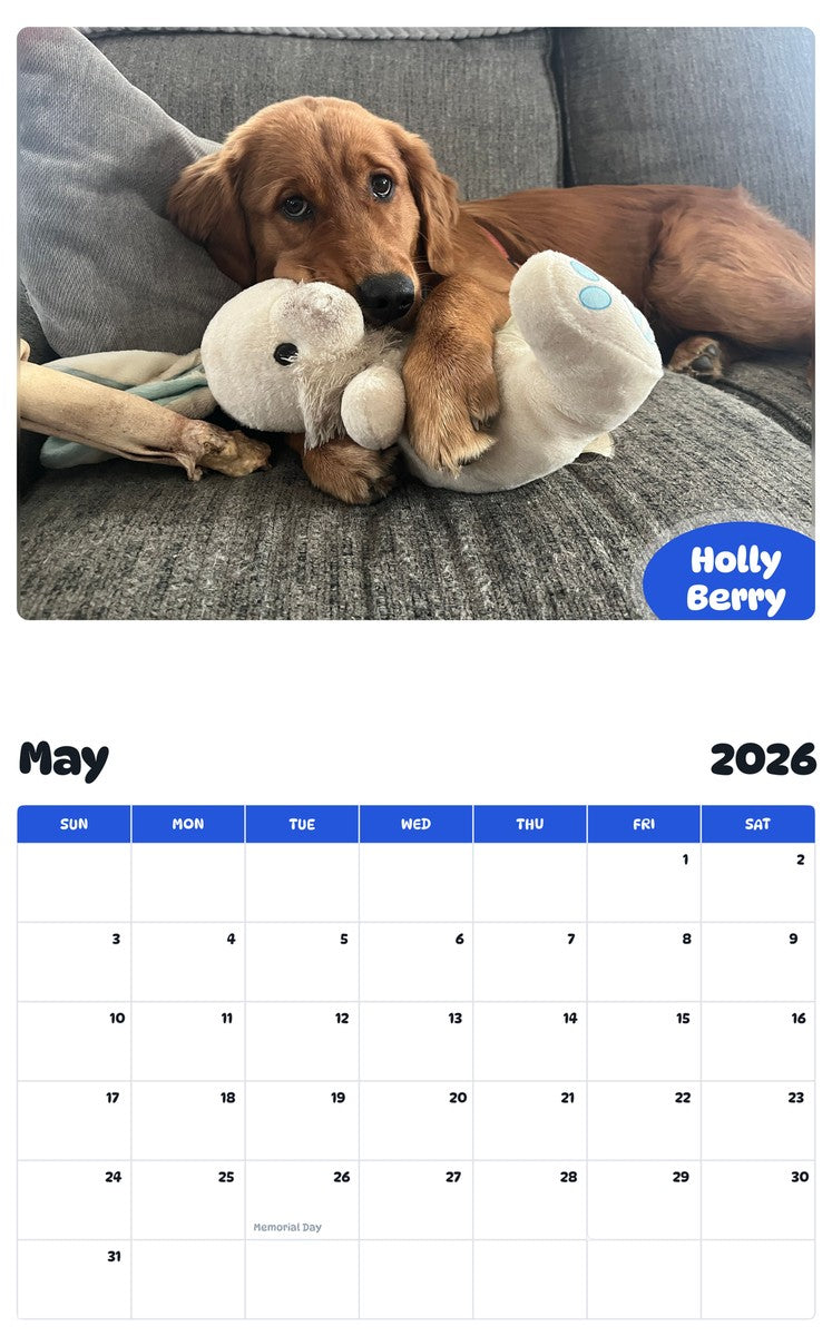 2026 - 2027 Holly Berry - Pawidols Pet Calendar