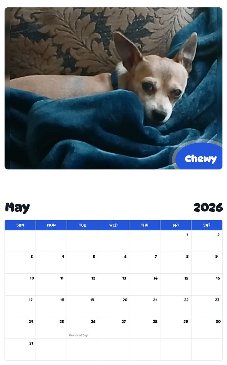 2026 - 2027 Chewy - Pawidols Pet Calendar