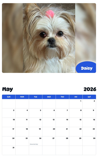 2026 - 2027 Daisy - Pawidols Pet Calendar