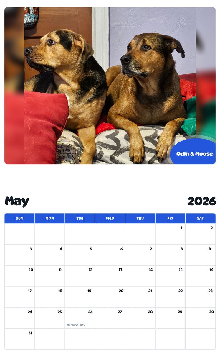 2026 - 2027 Odin & Moose - Pawidols Pet Calendar