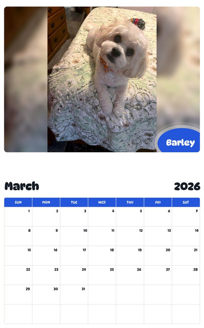 November 2025 - October 2026 Barley - Pawidols Pet Calendar