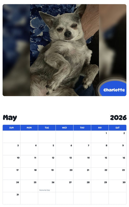 2026 - 2027 Charlotte - Pawidols Pet Calendar